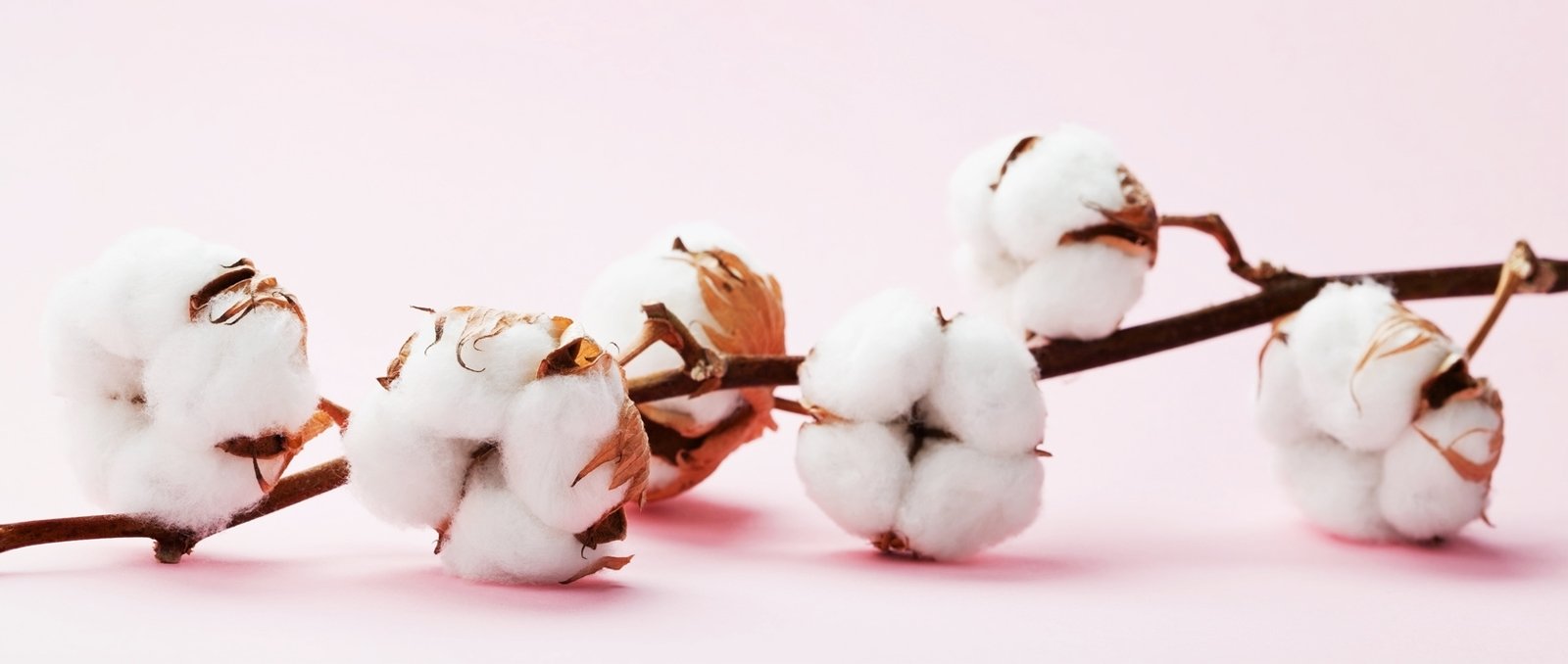 COTON - TISSU